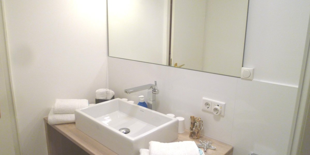 frisch renoviertes Badezimmer im Untergeschoss - B